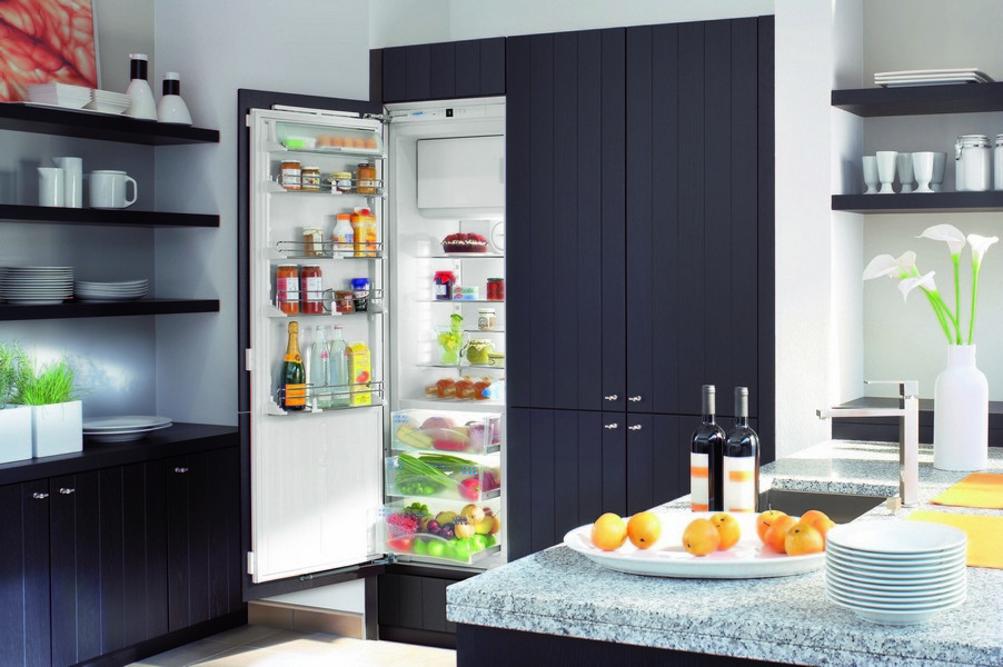 Встраиваемые холодильники: Полное руководство по выбору и уходу