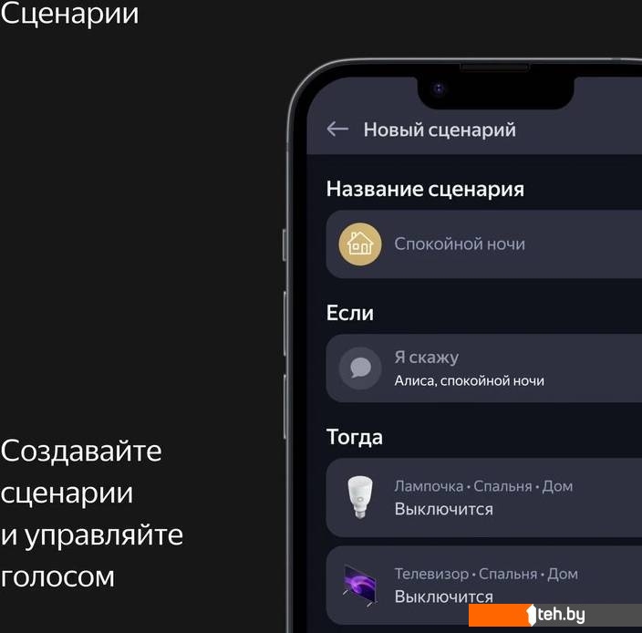 Беспроводные и портативные колонки Яндекс Станция Макс (с хабом умного дома Zigbee, графит)