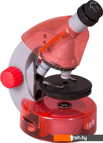  - Игры-опыты, эксперименты Levenhuk LabZZ M101 (апельсин) 69730 - LabZZ M101 (апельсин) 69730
