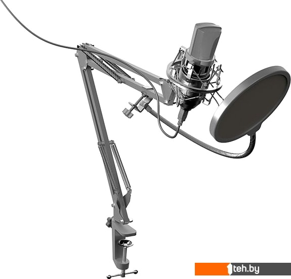  - Микрофоны Ritmix RDM-169 - RDM-169