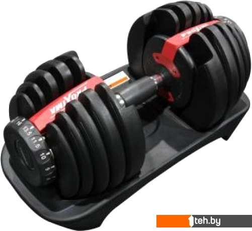  - Гантели, гири, штанги Proxima Gigant PS-ADB-2.5K/24K 24 кг - Gigant PS-ADB-2.5K/24K 24 кг