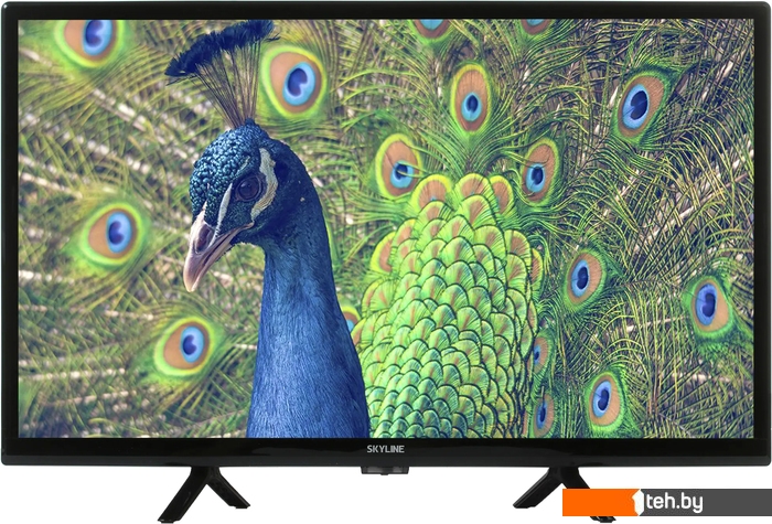  - Телевизоры Skyline 24YST5970 - 24YST5970