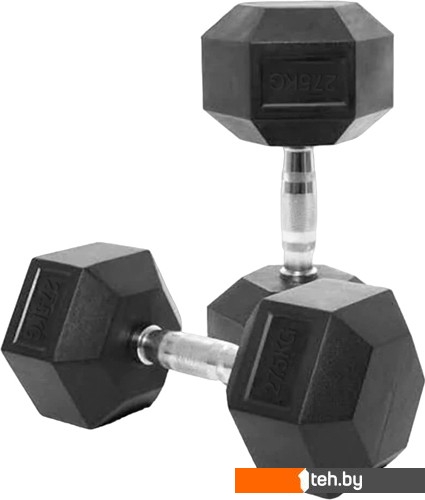  - Гантели, гири, штанги VictoryFit VF-H275 27.5 кг - VF-H275 27.5 кг