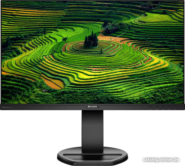  - Мониторы Philips 241B8QJEB/01 - 241B8QJEB/01