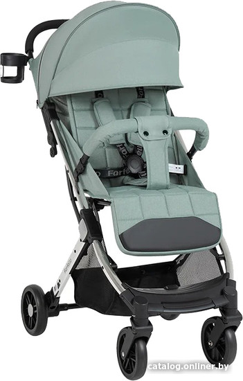  - Детские коляски и аксессуары Farfello Comfy Go Comfort CG-103 (зеленый/серебристый) - Comfy Go Comfort CG-103 (зеленый/серебристый)