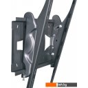 Кронштейны Holder PTS-4006