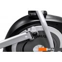 Эллиптические тренажеры Proxima Maximus [FE-656-A-21]