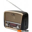 Радиоприемники Ritmix RPR-050 (золотой)