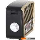 Радиоприемники Ritmix RPR-050 (золотой)