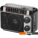 Радиоприемники Ritmix RPR-171