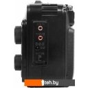 Радиоприемники Ritmix RPR-171