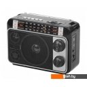 Радиоприемники Ritmix RPR-171