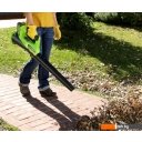 Воздуходувки Greenworks G40AB (без АКБ)