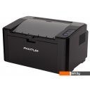 Принтеры и МФУ Pantum P2500W