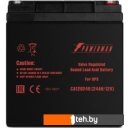 Аккумуляторы для ИБП Powerman CA12240/UPS (12В/24 А·ч)