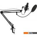 Микрофоны Ritmix RDM-180