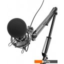 Микрофоны Ritmix RDM-180