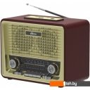 Радиоприемники Ritmix RPR-088 (золотистый)