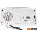 Электронные и радиочасы Miru CR-1009