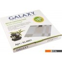 Напольные весы Galaxy GL4801