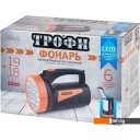Фонари ТРОФИ TSP19