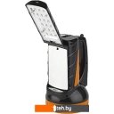 Фонари ТРОФИ TSP19