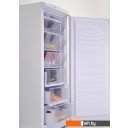 Холодильники Nord DF 165 WAP