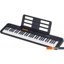 Синтезаторы и рабочие станции Casio CT-S100 Синтезаторы и рабочие станции Casio CT-S100
