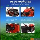 Газонокосилки ECO LG-734