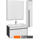 Мебель для ванных комнат Roca Зеркало Aneto 80 812363000