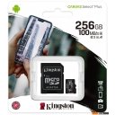 Карты памяти Kingston Canvas Select Plus microSDXC 256GB (с адаптером)