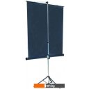 Проекционные экраны Lumien Master View 183x244 LMV-100108