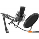 Микрофоны Ritmix RDM-169