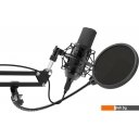 Микрофоны Ritmix RDM-169