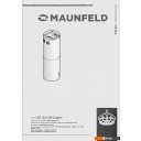 Вытяжки MAUNFELD Lee Isla 39 (золотой)