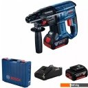 Перфораторы Bosch GBH 180-LI Professional 0611911121 (с 2-мя АКБ, кейс)