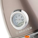 Чайники и термопоты Brayer BR1007