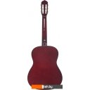 Гитары Terris TC-3901A NA