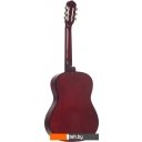 Гитары Terris TC-3901A NA