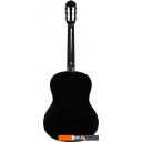 Гитары Terris TC-390A BK
