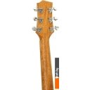 Гитары Randon RGI-04-CE Гитары Randon RGI-04-CE