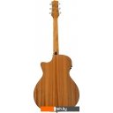 Гитары Randon RGI-04-CE Гитары Randon RGI-04-CE