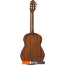 Гитары De Felipe DF3