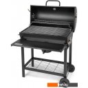 Мангалы, грили, барбекю Fieldmann FZG 1007