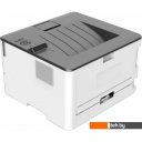 Принтеры и МФУ Pantum P3300DW