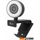 Web-камеры Ritmix RVC-250