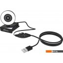Web-камеры Ritmix RVC-250
