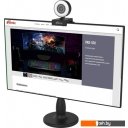 Web-камеры Ritmix RVC-250