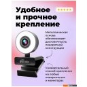 Web-камеры Ritmix RVC-250