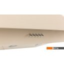 Вытяжки Oasis NS-60I (FR)